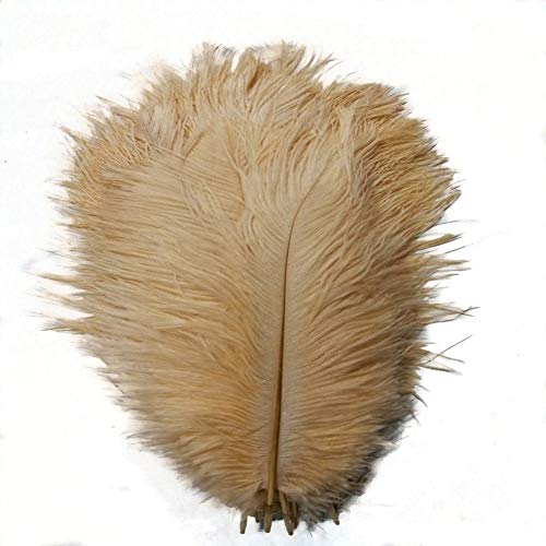 Natürliche Straußenfedern, 30–35 cm, für Zuhause, Hochzeit, Party, Dekoration, Champagner, 50 Stück Natürliche Straußenfedern, 30–35 cm, für Zuhause, Hochzeit, Party, Dekoration, Champagner, 50 Stück von ASKFNASDKMFN
