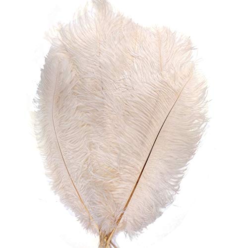 Natürliche Straußenfedern, 30–35 cm, für Zuhause, Hochzeit, Party, Dekoration, Elfenbein, 50 Stück Natürliche Straußenfedern, 30–35 cm, für Zuhause, Hochzeit, Party, Dekoration, Elfenbein, 50 Stück von ASKFNASDKMFN