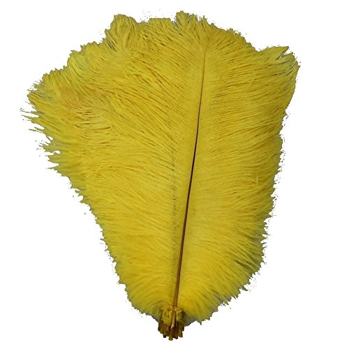 Natürliche Straußenfedern, 30–35 cm, für Zuhause, Hochzeit, Party, Dekoration, Gelb, 50 Stück Natürliche Straußenfedern, 30–35 cm, für Zuhause, Hochzeit, Party, Dekoration, Gelb, 50 Stück von ASKFNASDKMFN