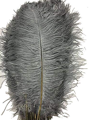 Natürliche Straußenfedern, 30–35 cm, für Zuhause, Hochzeit, Party, Dekoration, Grau, 50 Stück Natürliche Straußenfedern, 30–35 cm, für Zuhause, Hochzeit, Party, Dekoration, Grau, 50 Stück von ASKFNASDKMFN