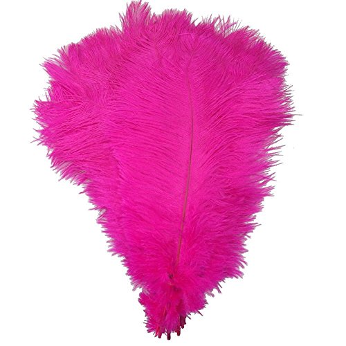 Natürliche Straußenfedern, 30–35 cm, für Zuhause, Hochzeit, Party, Dekoration, Rose, 50 Stück Natürliche Straußenfedern, 30–35 cm, für Zuhause, Hochzeit, Party, Dekoration, Rose, 50 Stück von ASKFNASDKMFN