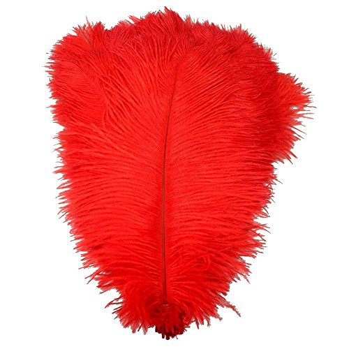 Natürliche Straußenfedern, 30–35 cm, für Zuhause, Hochzeit, Party, Dekoration, Rot, 50 Stück Natürliche Straußenfedern, 30–35 cm, für Zuhause, Hochzeit, Party, Dekoration, Rot, 50 Stück von ASKFNASDKMFN