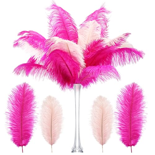Natürliche Straußenfedern aus den 1920er-Jahren, Großpackung 25,4 - 30,5 cm, natürliche große Federn für Hochzeit, Tanz, Geburtstag, Party, Tafelaufsatz, Karnevalsdekorationen (Hellrosa, Rosarot), 60 Natürliche Straußenfedern aus den 1920er-Jahren, Großpackung 25,4 - 30,5 cm, natürliche große Federn für Hochzeit, Tanz, Geburtstag, Party, Tafelaufsatz, Karnevalsdekorationen (Hellrosa, Rosarot), 60 von ASKFNASDKMFN