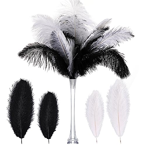 Natürliche Straußenfedern aus den 1920er-Jahren, Großpackung 25,4 - 30,5 cm, natürliche große Federn für Hochzeit, Tanz, Geburtstag, Party, Tafelaufsatz, Karnevalsdekorationen (schwarz und weiß), 60 Natürliche Straußenfedern aus den 1920er-Jahren, Großpackung 25,4 - 30,5 cm, natürliche große Federn für Hochzeit, Tanz, Geburtstag, Party, Tafelaufsatz, Karnevalsdekorationen (schwarz und weiß), 60 von ASKFNASDKMFN