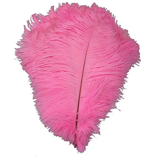 Natürliche Straußenfedern für Heimwerker, Zuhause, Hochzeit, Party, Büro, Dekoration, 30-35 cm, Rosa, 40 Stück Natürliche Straußenfedern für Heimwerker, Zuhause, Hochzeit, Party, Büro, Dekoration, 30-35 cm, Rosa, 40 Stück von ASKFNASDKMFN