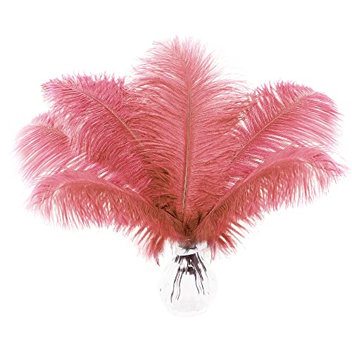 Rote, bunte Straußenfedern, 15 Stück, 30,5–35,6 cm, für Vasen, Tortenaufsätze, Hüte und als Dekoration für Hochzeiten und Zuhause (Sonnenuntergangsrot) von ASKFNASDKMFN