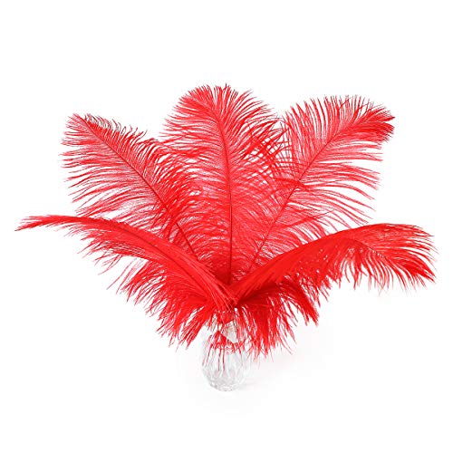 Rote Straußenfedern, Großpackung – 20,3–25,4 cm Federn für Bastelarbeiten, Party-Mittelstücke, Hochzeit und Heimdekoration, 24 Stück Rote Straußenfedern, Großpackung – 20,3–25,4 cm Federn für Bastelarbeiten, Party-Mittelstücke, Hochzeit und Heimdekoration, 24 Stück von ASKFNASDKMFN