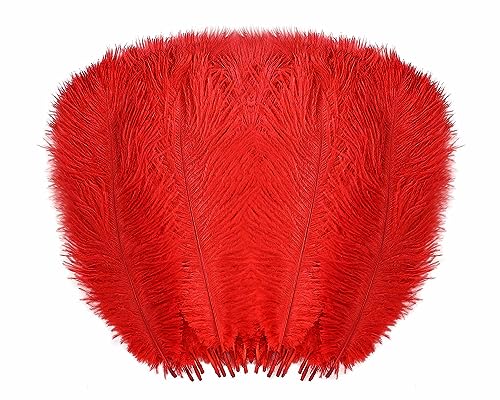 Rote Straußenfedern, Großpackung 30 - 35 cm, für Tafelaufsätze für Hochzeit, Geburtstag, Gatsby-Party, dekorative Federn für Vase, Tisch und Weihnachtsbaumdekoration (30–35 cm, rot) von ASKFNASDKMFN