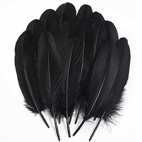 Schwarze Bastelfedern in Großpackung – 120 Stück, 15–20 cm, echte Gänsefedern für selbstgemachte Halloween-Dekorationen, Schmuck, Cosplay und Bekleidungszubehör Schwarze Bastelfedern in Großpackung – 120 Stück, 15–20 cm, echte Gänsefedern für selbstgemachte Halloween-Dekorationen, Schmuck, Cosplay und Bekleidungszubehör von ASKFNASDKMFN