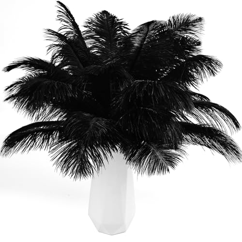 Schwarze Straußenfedern, 12 Stück, natürlich, 25–30 cm, 25–30 cm, für Bastelarbeiten, Hochzeitsfeiern, Tafelaufsätze, Halloween und Heimdekoration Schwarze Straußenfedern, 12 Stück, natürlich, 25–30 cm, 25–30 cm, für Bastelarbeiten, Hochzeitsfeiern, Tafelaufsätze, Halloween und Heimdekoration von ASKFNASDKMFN