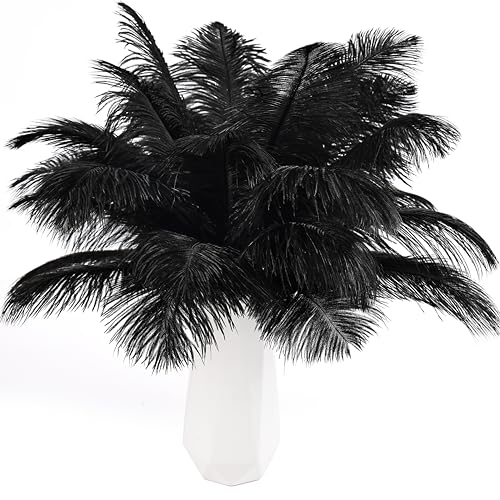 Schwarze Straußenfedern, 24 Stück, natürlich, 25 cm - 30 cm, für Bastelarbeiten, Hochzeit, Party, Tafelaufsätze, Halloween und Heimdekoration, Federn Schwarze Straußenfedern, 24 Stück, natürlich, 25 cm - 30 cm, für Bastelarbeiten, Hochzeit, Party, Tafelaufsätze, Halloween und Heimdekoration, Federn von ASKFNASDKMFN