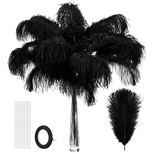 Schwarze Straußenfedern, natürlich, 25,4 - 30,5 cm, mit Eisendrahtband für Vasen, Basteln, Hochzeit, Party, Tafelaufsätze, Blumenarrangement, Heimdekoration, Karnevalsgeschenke, 80 Stück Schwarze Straußenfedern, natürlich, 25,4 - 30,5 cm, mit Eisendrahtband für Vasen, Basteln, Hochzeit, Party, Tafelaufsätze, Blumenarrangement, Heimdekoration, Karnevalsgeschenke, 80 Stück von ASKFNASDKMFN