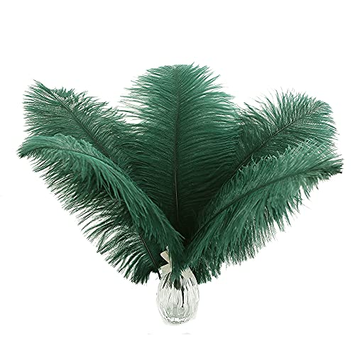 Schwarzgrüne Straußenfedern, Großpackung, 20,3–25,4 cm, für Hochzeit, Party, Tafelaufsatz, Weihnachtsdekoration, 24 Stück Schwarzgrüne Straußenfedern, Großpackung, 20,3–25,4 cm, für Hochzeit, Party, Tafelaufsatz, Weihnachtsdekoration, 24 Stück von ASKFNASDKMFN