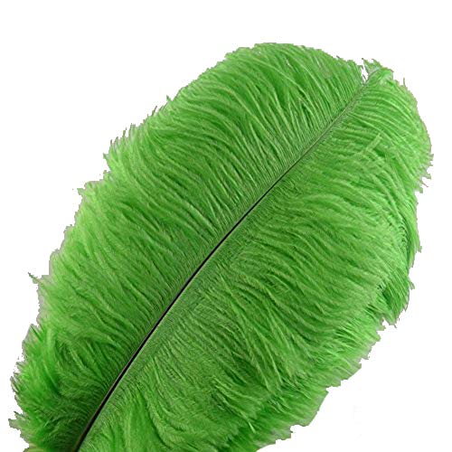 Set mit 10 Stück 14''~16''(35~40cm) natürlichen Straußenfedern für Heimwerker, Hochzeit, Party, Bürodekoration (Grün) von ASKFNASDKMFN