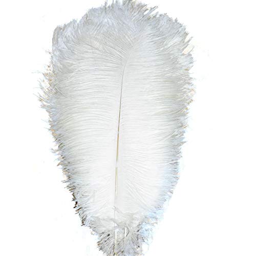 Set mit 10 Stück 14''~16''(35~40cm) natürlichen Straußenfedern für Heimwerker, Hochzeit, Party, Bürodekoration (weiß) von ASKFNASDKMFN