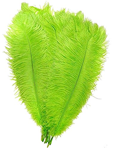 Set mit 10 natürlichen Straußenfedern für Heimwerker, Zuhause, Hochzeit, Party, Büro, Dekoration, 35-40 cm, Limettengrün Set mit 10 natürlichen Straußenfedern für Heimwerker, Zuhause, Hochzeit, Party, Büro, Dekoration, 35-40 cm, Limettengrün von ASKFNASDKMFN
