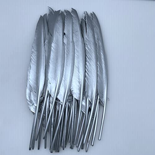 Silberne Truthahnfedern, indische Feder, 30,5–40,6 cm lang, Gänsefedern für Bekleidungszubehör, 6 Stück (Silberne Türkei) von ASKFNASDKMFN