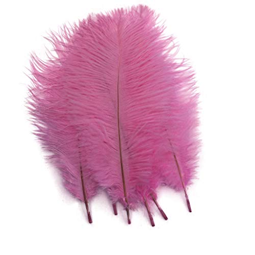 Straußenfedern, 10 Stück, Rosa, 25-30 cm, Heimdekoration, Bastelarbeiten, 10 Stück Straußenfedern, 10 Stück, Rosa, 25-30 cm, Heimdekoration, Bastelarbeiten, 10 Stück von ASKFNASDKMFN