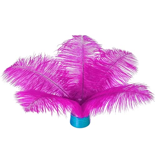 Straußenfedern, 15-20 cm, Großpackung für selbstgemachte Kunstwerke und DIY-Kleidung, Federstifte, Traumfänger, Tischdekoration, 20 Stück Straußenfedern, 15-20 cm, Großpackung für selbstgemachte Kunstwerke und DIY-Kleidung, Federstifte, Traumfänger, Tischdekoration, 20 Stück von ASKFNASDKMFN