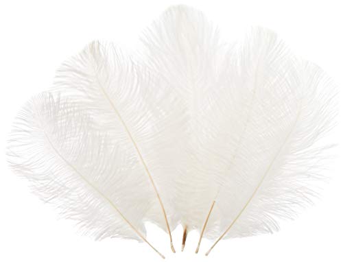Straußenfedern, 15 - 20 cm, für Hochzeit, Dekoration, 10 Stück (weiß) von ASKFNASDKMFN