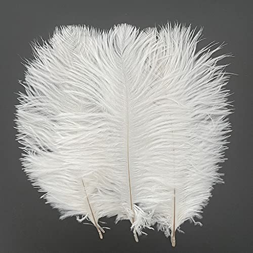 Straußenfedern, 20,3–25,4 cm, für Hochzeit, Party, Tafelaufsätze, Heimdekoration, 50 Stück (weiß) von ASKFNASDKMFN
