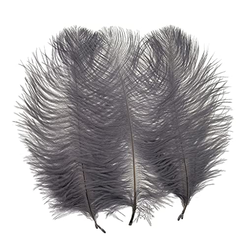 Straußenfedern, 20,3–25,4 cm, für Hochzeit, Party, Tafelaufsätze, Heimdekoration, Grau, 50 Stück Straußenfedern, 20,3–25,4 cm, für Hochzeit, Party, Tafelaufsätze, Heimdekoration, Grau, 50 Stück von ASKFNASDKMFN