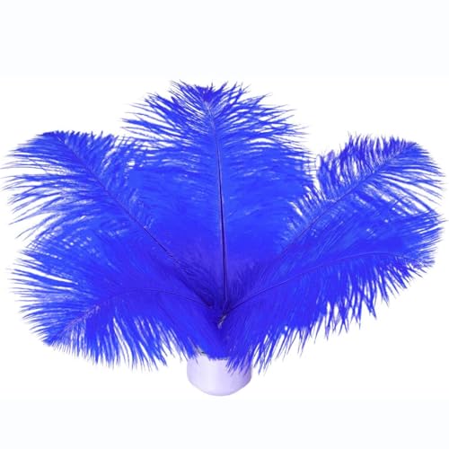 Straußenfedern, 20-25 cm, Blau, 20-25 cm, für DIY-Kleidung, Federstifte, Traumfänger, Gatsby-Dekorationen Straußenfedern, 20-25 cm, Blau, 20-25 cm, für DIY-Kleidung, Federstifte, Traumfänger, Gatsby-Dekorationen von ASKFNASDKMFN
