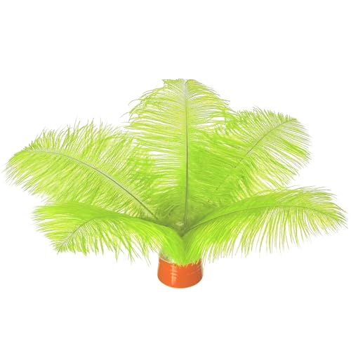 Straußenfedern, 20-25 cm, Großpackung für selbstgemachte Kunstwerke und DIY-Kleidung, Federstifte, Traumfänger, Tischdekoration, 20 Stück Straußenfedern, 20-25 cm, Großpackung für selbstgemachte Kunstwerke und DIY-Kleidung, Federstifte, Traumfänger, Tischdekoration, 20 Stück von ASKFNASDKMFN