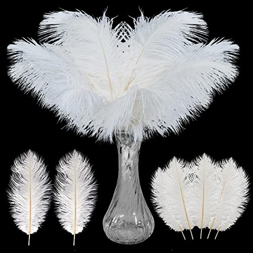 Straußenfedern, 20-25 cm, Weiß, 20-25 cm, für Zuhause, Basteln, Dekoration, Tafelaufsätze, Dekoration für Vasen, Hochzeit, Party, Blumenarrangement, 200 Stück Straußenfedern, 20-25 cm, Weiß, 20-25 cm, für Zuhause, Basteln, Dekoration, Tafelaufsätze, Dekoration für Vasen, Hochzeit, Party, Blumenarrangement, 200 Stück von ASKFNASDKMFN