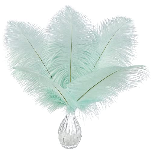 Straußenfedern, 25,4–30,5 cm, Aquagrün, Großpackung für Hochzeit, Party, Tafelaufsatz, Mardi Gras, Dekorationen und Heimdekoration, 24 Stück Straußenfedern, 25,4–30,5 cm, Aquagrün, Großpackung für Hochzeit, Party, Tafelaufsatz, Mardi Gras, Dekorationen und Heimdekoration, 24 Stück von ASKFNASDKMFN