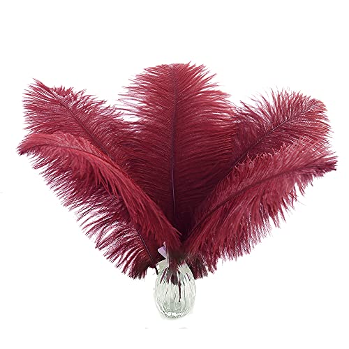 Straußenfedern, 25,4–30,5 cm, für Partydekoration, Blumenarrangement und Heimdekoration, Burgunderrot, 24 Stück Straußenfedern, 25,4–30,5 cm, für Partydekoration, Blumenarrangement und Heimdekoration, Burgunderrot, 24 Stück von ASKFNASDKMFN