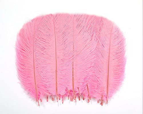 Straußenfedern, 25,4 - 30,5 cm, für Tafelaufsätze von Great Gatsby Party, Hochzeit, Zuhause, Vasen, Weihnachtsbaumschmuck, natürliche Federn, Dekoration, Rosa, 30 Stück Straußenfedern, 25,4 - 30,5 cm, für Tafelaufsätze von Great Gatsby Party, Hochzeit, Zuhause, Vasen, Weihnachtsbaumschmuck, natürliche Federn, Dekoration, Rosa, 30 Stück von ASKFNASDKMFN