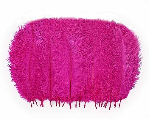 Straußenfedern, 25,4 - 30,5 cm, weiche, natürliche Federn für Tafelaufsätze von Great Gatsby & Hochzeitsfeier, Heimvasen, Weihnachtsbaumschmuck, 30 Stück Straußenfedern, 25,4 - 30,5 cm, weiche, natürliche Federn für Tafelaufsätze von Great Gatsby & Hochzeitsfeier, Heimvasen, Weihnachtsbaumschmuck, 30 Stück von ASKFNASDKMFN