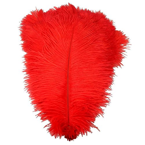 Straußenfedern, 25–30 cm, echte natürliche Straußenfedern, Bastelfedern für Zuhause, Party, Hochzeit, Dekoration, Rot, 20 Stück Straußenfedern, 25–30 cm, echte natürliche Straußenfedern, Bastelfedern für Zuhause, Party, Hochzeit, Dekoration, Rot, 20 Stück von ASKFNASDKMFN