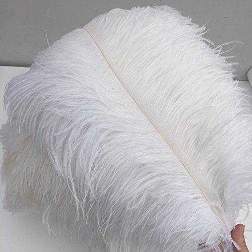 Straußenfedern, 25–30 cm, echte natürliche Straußenfedern, Bastelfedern für Zuhause, Party, Hochzeit, Dekoration, Weiß, 20 Stück von ASKFNASDKMFN