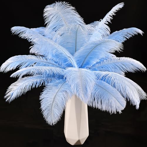 Straußenfedern, 25 cm - 30 cm, für Bastelarbeiten, Hochzeiten, Partys, Ostern, Gatsbi und Heimdekoration, Babyblau, 24 Stück Straußenfedern, 25 cm - 30 cm, für Bastelarbeiten, Hochzeiten, Partys, Ostern, Gatsbi und Heimdekoration, Babyblau, 24 Stück von ASKFNASDKMFN