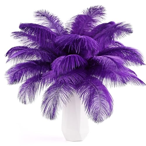 Straußenfedern, 25 cm - 30 cm, für Hochzeiten, Partys, Ostern, Gatsby und Heimdekoration, Straußenfedern, 24 Stück, Violett Straußenfedern, 25 cm - 30 cm, für Hochzeiten, Partys, Ostern, Gatsby und Heimdekoration, Straußenfedern, 24 Stück, Violett von ASKFNASDKMFN