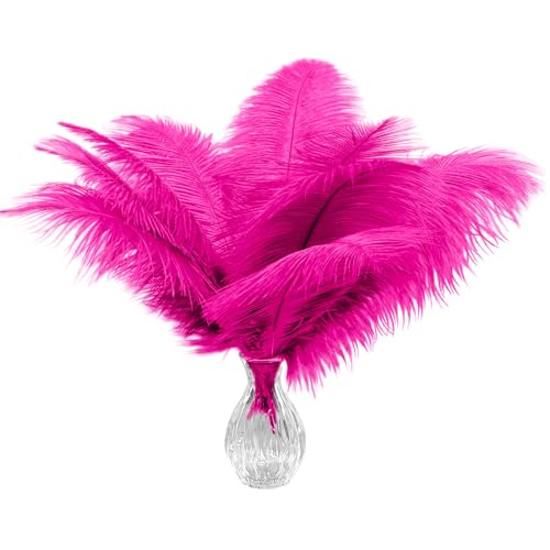 Straußenfedern, 30-35 cm, Großpackung für Hochzeiten, Partys, Bastelarbeiten, Kleidung, Gatsby-Dekorationen, 20 Stück Straußenfedern, 30-35 cm, Großpackung für Hochzeiten, Partys, Bastelarbeiten, Kleidung, Gatsby-Dekorationen, 20 Stück von ASKFNASDKMFN