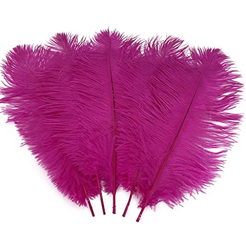 Straußenfedern, 30–35 cm, für Party, Hochzeit, Tafelaufsatz, Festival, Vasen, Dekoration, Fuchsia, 10 Stück Straußenfedern, 30–35 cm, für Party, Hochzeit, Tafelaufsatz, Festival, Vasen, Dekoration, Fuchsia, 10 Stück von ASKFNASDKMFN