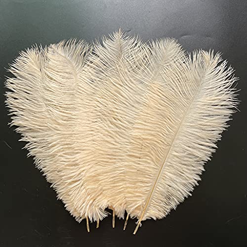 Straußenfedern, 30–35 cm, für Partys, Hochzeiten, Tafelaufsätze, Festivals, Vasen, Dekoration, Champagner, 10 Stück Straußenfedern, 30–35 cm, für Partys, Hochzeiten, Tafelaufsätze, Festivals, Vasen, Dekoration, Champagner, 10 Stück von ASKFNASDKMFN
