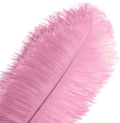 Straußenfedern, 35 - 40 cm, für Hochzeiten, Partys, als Tafelaufsatz, Gatsby-Dekoration, 10 Stück Straußenfedern, 35 - 40 cm, für Hochzeiten, Partys, als Tafelaufsatz, Gatsby-Dekoration, 10 Stück von ASKFNASDKMFN