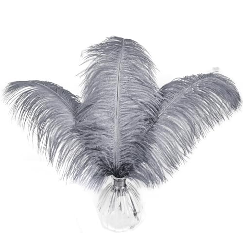 Straußenfedern, 40,6–45,7 cm, Grau, für Hochzeit, Party, Tafelaufsatz, Heimdekoration, Basteln, 10 Stück Straußenfedern, 40,6–45,7 cm, Grau, für Hochzeit, Party, Tafelaufsatz, Heimdekoration, Basteln, 10 Stück von ASKFNASDKMFN