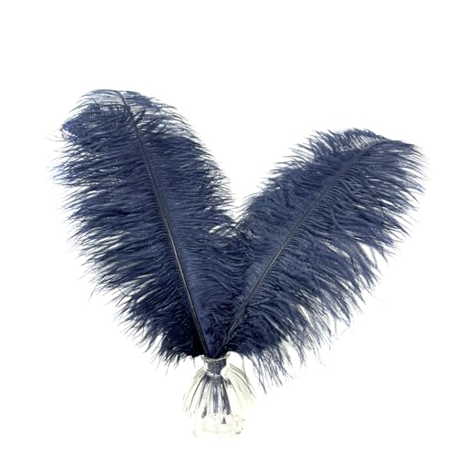 Straußenfedern, 40,6–45,7 cm, Marineblau, für Hochzeit, Party, Tafelaufsatz, Heimdekoration, Basteln, 10 Stück Straußenfedern, 40,6–45,7 cm, Marineblau, für Hochzeit, Party, Tafelaufsatz, Heimdekoration, Basteln, 10 Stück von ASKFNASDKMFN