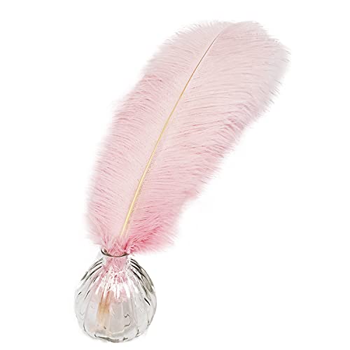 Straußenfedern, 40,6–45,7 cm, Rosa, für Hochzeit, Party, Tafelaufsatz, Heimdekoration, Basteln, 10 Stück Straußenfedern, 40,6–45,7 cm, Rosa, für Hochzeit, Party, Tafelaufsatz, Heimdekoration, Basteln, 10 Stück von ASKFNASDKMFN