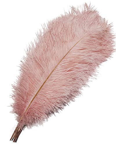 Straußenfedern, 40,6–45,7 cm, Rosa, für Hochzeit, Party, Tafelaufsatz, Heimdekoration, Basteln, 10 Stück Straußenfedern, 40,6–45,7 cm, Rosa, für Hochzeit, Party, Tafelaufsatz, Heimdekoration, Basteln, 10 Stück von ASKFNASDKMFN