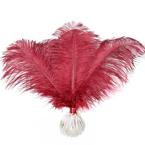 Straußenfedern, 40,6 - 45,7 cm, für Hochzeit, Party, Heimdekoration, Basteln, 10 Stück Straußenfedern, 40,6 - 45,7 cm, für Hochzeit, Party, Heimdekoration, Basteln, 10 Stück von ASKFNASDKMFN