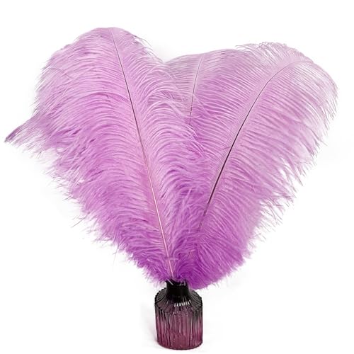 Straußenfedern, 40,6–45,7 cm, hellviolett, für Hochzeit, Party, Tafelaufsatz, Heimdekoration, Basteln, 10 Stück Straußenfedern, 40,6–45,7 cm, hellviolett, für Hochzeit, Party, Tafelaufsatz, Heimdekoration, Basteln, 10 Stück von ASKFNASDKMFN