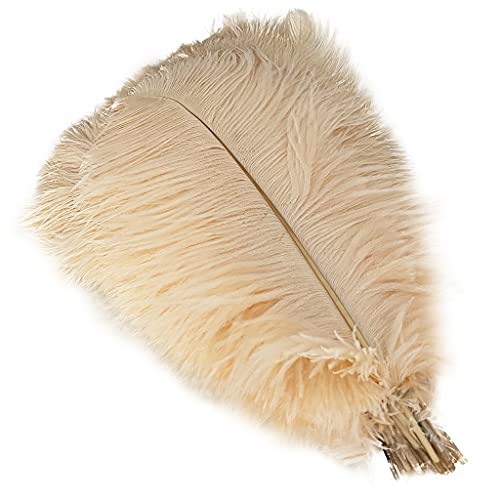 Straußenfedern, 40–45 cm, für Hochzeit, Party, Tafelaufsatz, Halloween, Weihnachten, Heimdekoration, Champagner, 5 Stück Straußenfedern, 40–45 cm, für Hochzeit, Party, Tafelaufsatz, Halloween, Weihnachten, Heimdekoration, Champagner, 5 Stück von ASKFNASDKMFN