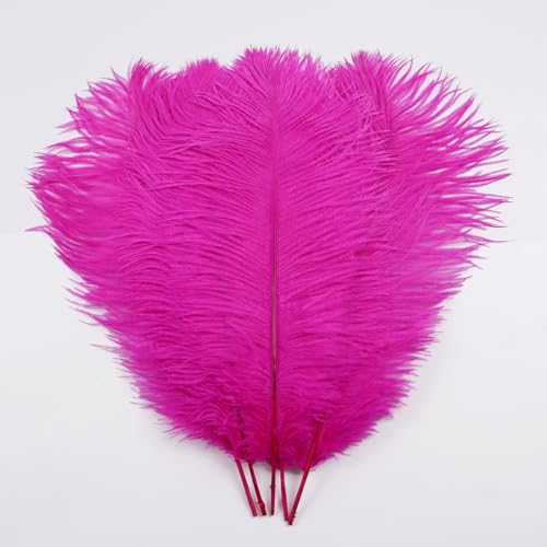 Straußenfedern, 40–45 cm, für Hochzeit, Party, Tafelaufsatz, Halloween, Weihnachten, Heimdekoration, Fuchsia, 5 Stück Straußenfedern, 40–45 cm, für Hochzeit, Party, Tafelaufsatz, Halloween, Weihnachten, Heimdekoration, Fuchsia, 5 Stück von ASKFNASDKMFN