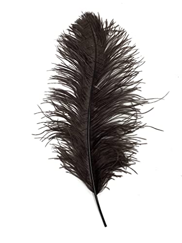 Straußenfedern, 58,4 - 71,1 cm, für Tafelaufsätze, Kostüm-Vasen, Theater-Bastelarbeiten, Braun, 1 Stück Straußenfedern, 58,4 - 71,1 cm, für Tafelaufsätze, Kostüm-Vasen, Theater-Bastelarbeiten, Braun, 1 Stück von ASKFNASDKMFN